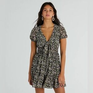 Windsor V-Neck Floral Chiffon Skater Dress